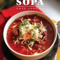 Ebook: Sopa, Amor Bandido